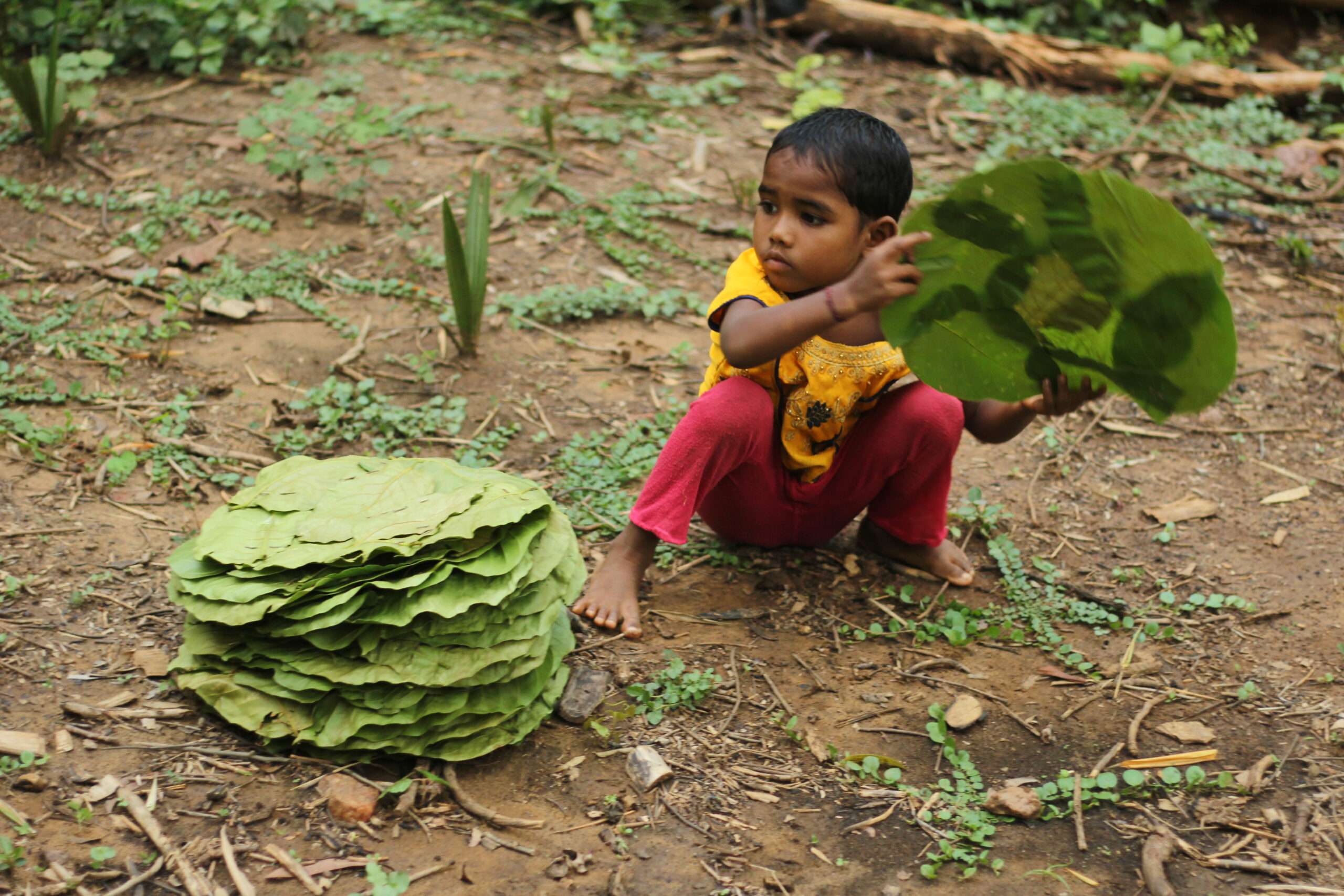 Tiny Hands, Big Tasks