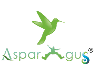 asparaguslogo2 (2)